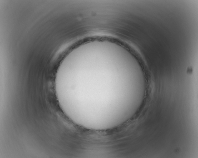X0000114690823200910211052
