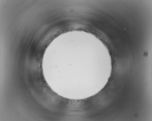 X0000114690824200910211052