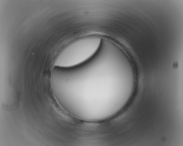 X0000114690825200910211052