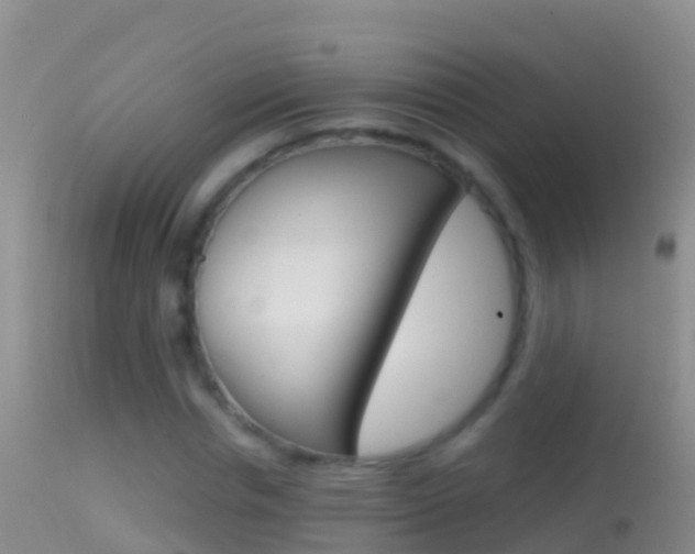 X0000114690826200910211052