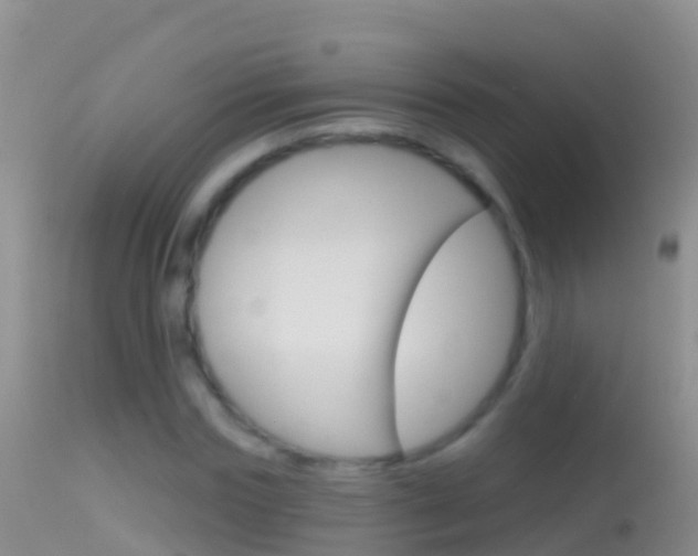 X0000114690827200910211052