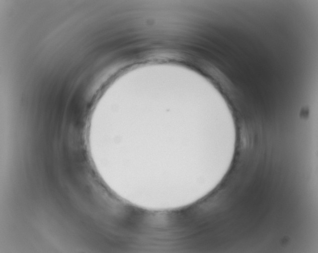 X0000114690828200910211052