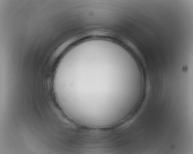 X0000114690829200910211052