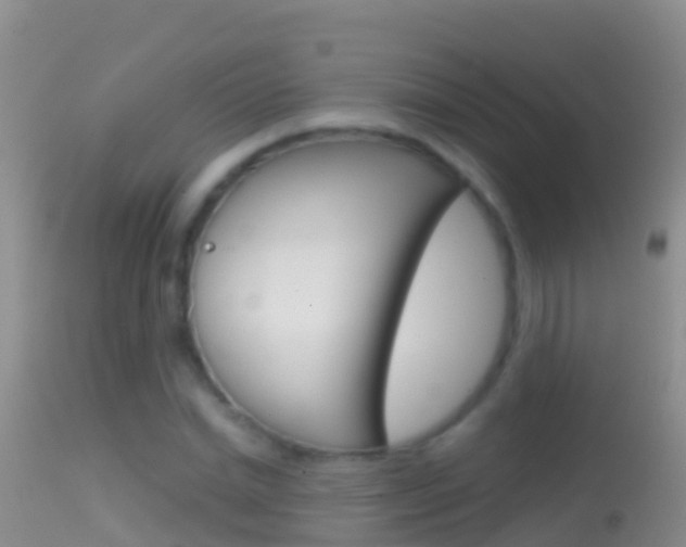 X0000114690830200910211052