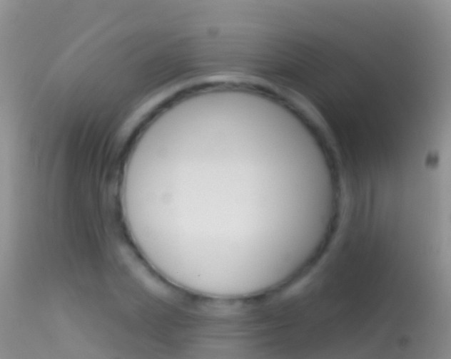 X0000114690831200910211052
