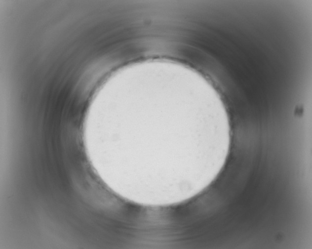 X0000114690832200910211052