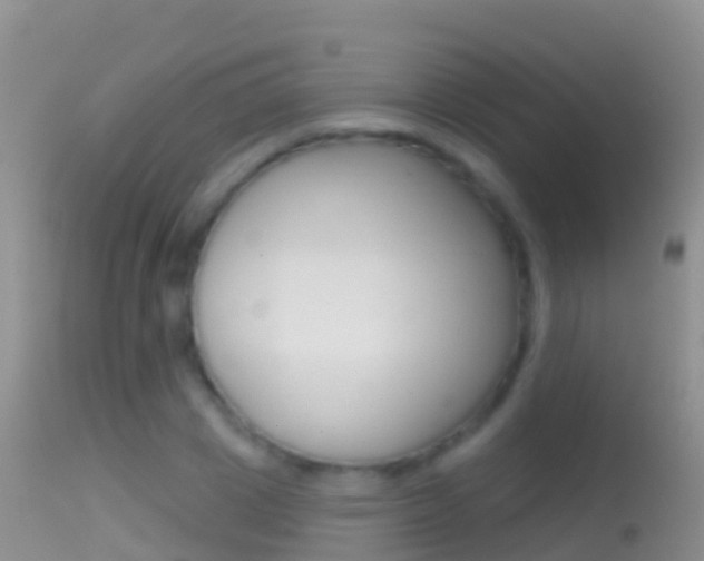 X0000114690833200910211052