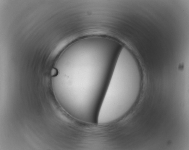 X0000114690834200910211052