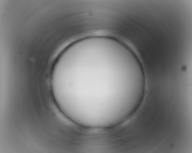 X0000114690835200910211052