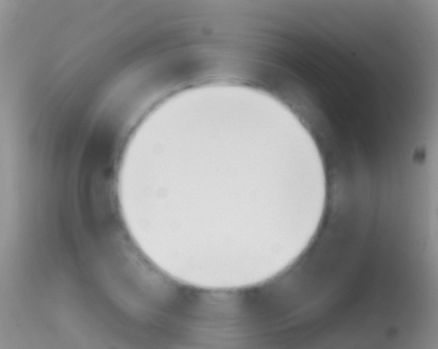 X0000114690836200910211052