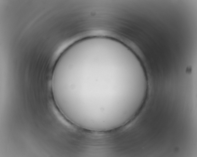 X0000114690839200910211052