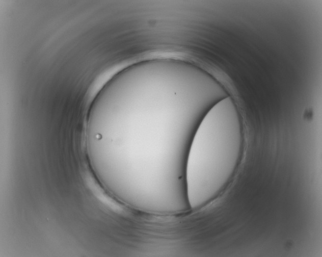 X0000114690844200910211052