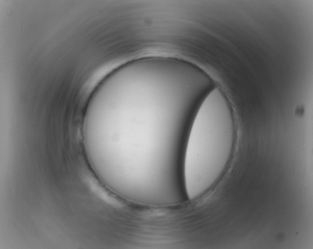 X0000114690846200910211052