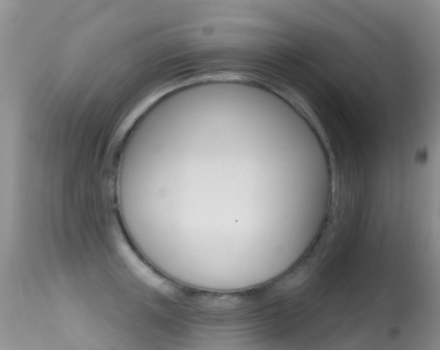 X0000114690851200910211053