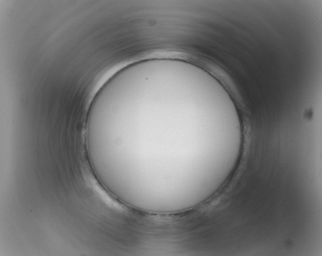 X0000114690852200910211053
