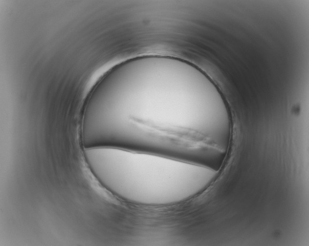 X0000114690854200910211053