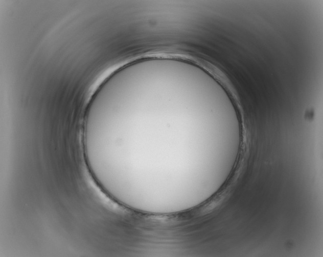 X0000114690855200910211053
