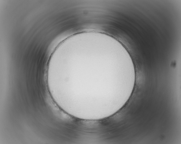 X0000114690856200910211053