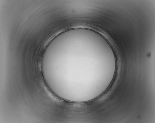 X0000114690857200910211053