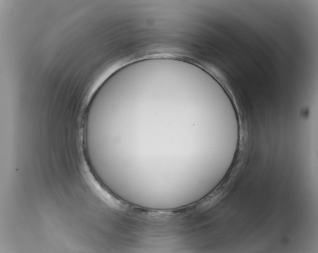 X0000114690859200910211053