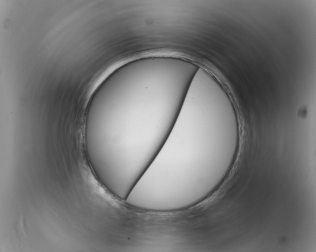 X0000114690860200910211053