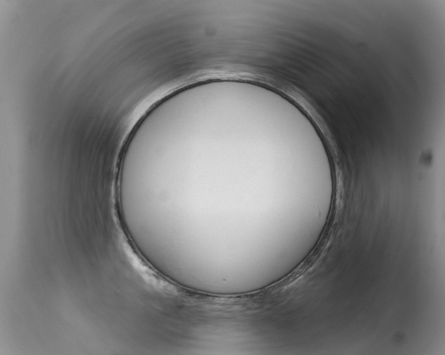 X0000114690861200910211053