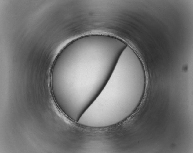 X0000114690862200910211053