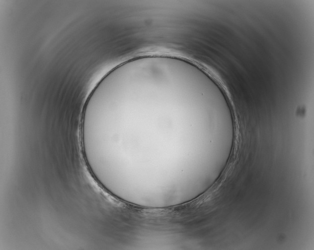 X0000114690863200910211053