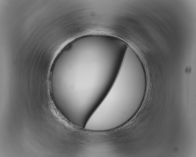 X0000114690864200910211053