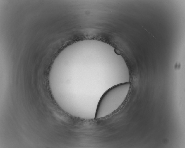 X0000114690865200910211052