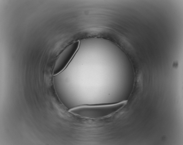 X0000114690868200910211052