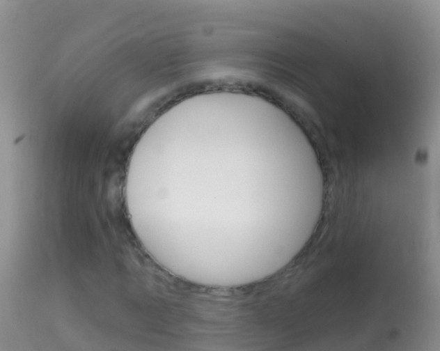X0000114690869200910211052