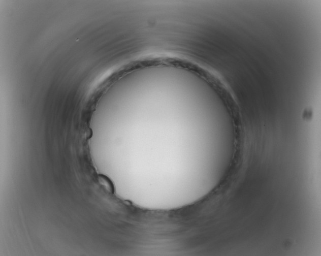 X0000114690871200910211052