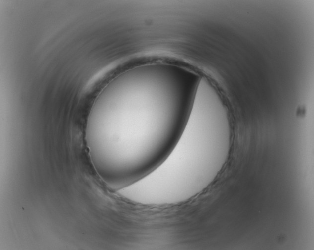 X0000114690872200910211052