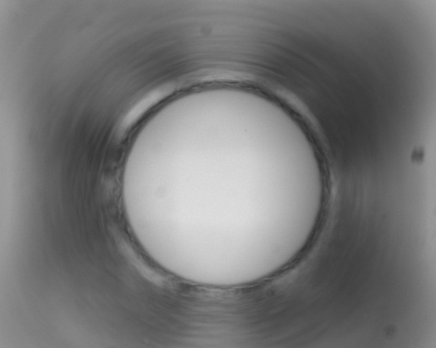 X0000114690874200910211052
