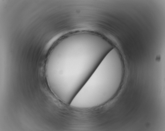 X0000114690875200910211052