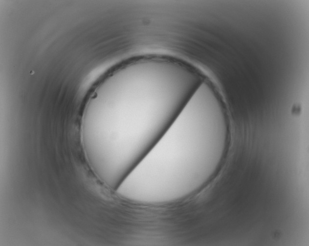 X0000114690879200910211052