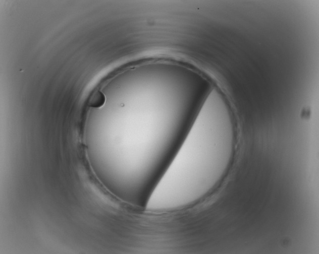 X0000114690880200910211052