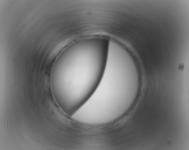 X0000114690881200910211052
