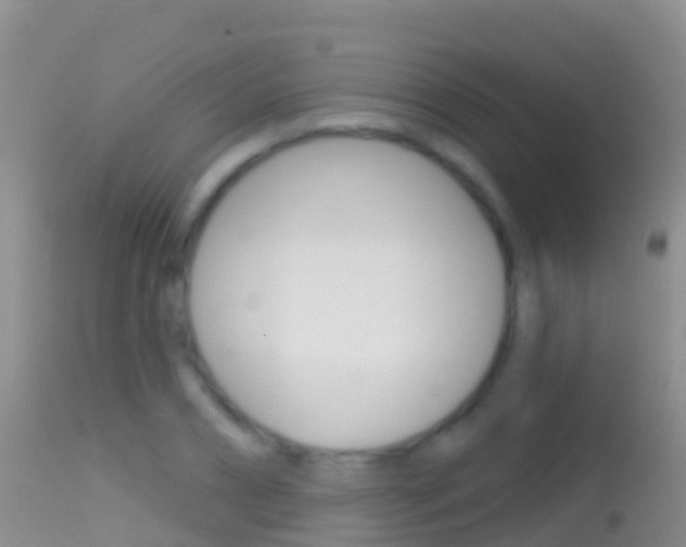 X0000114690882200910211052