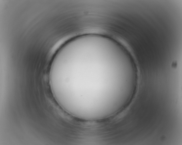 X0000114690883200910211052