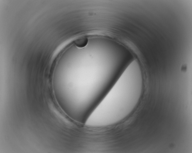 X0000114690884200910211052