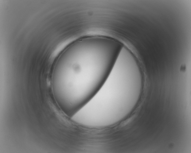 X0000114690885200910211052