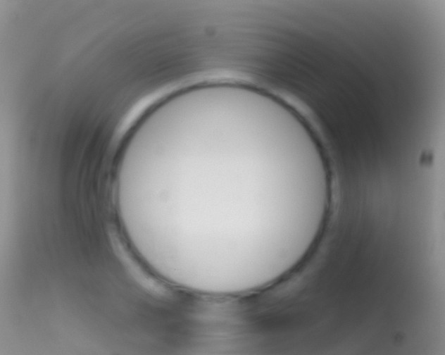 X0000114690886200910211052