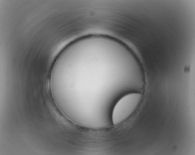 X0000114690887200910211052