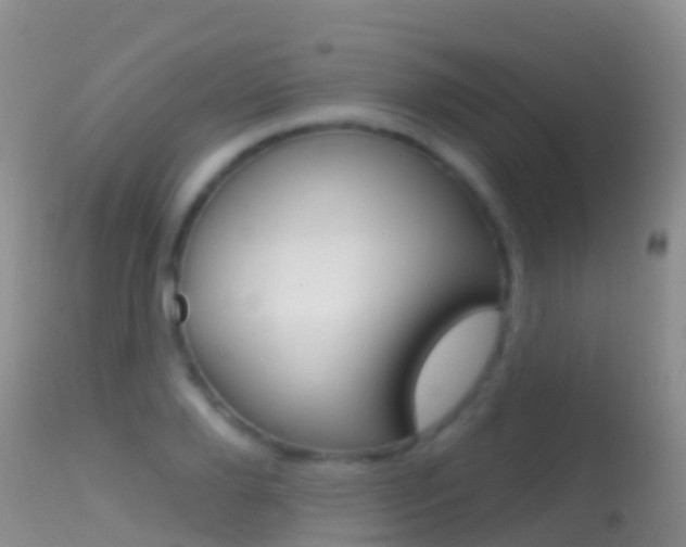 X0000114690888200910211052