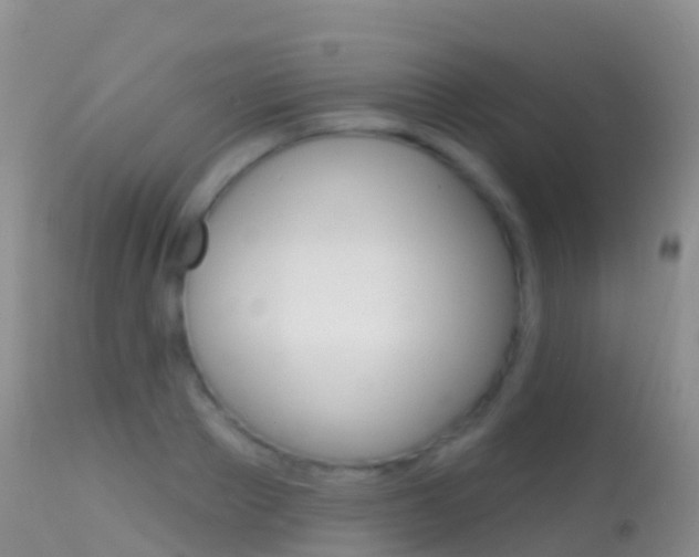 X0000114690889200910211052