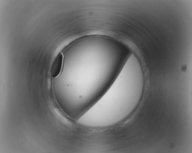 X0000114690892200910211051
