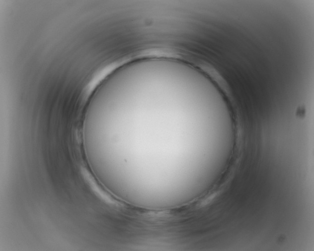 X0000114690893200910211051