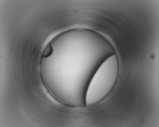 X0000114690894200910211051